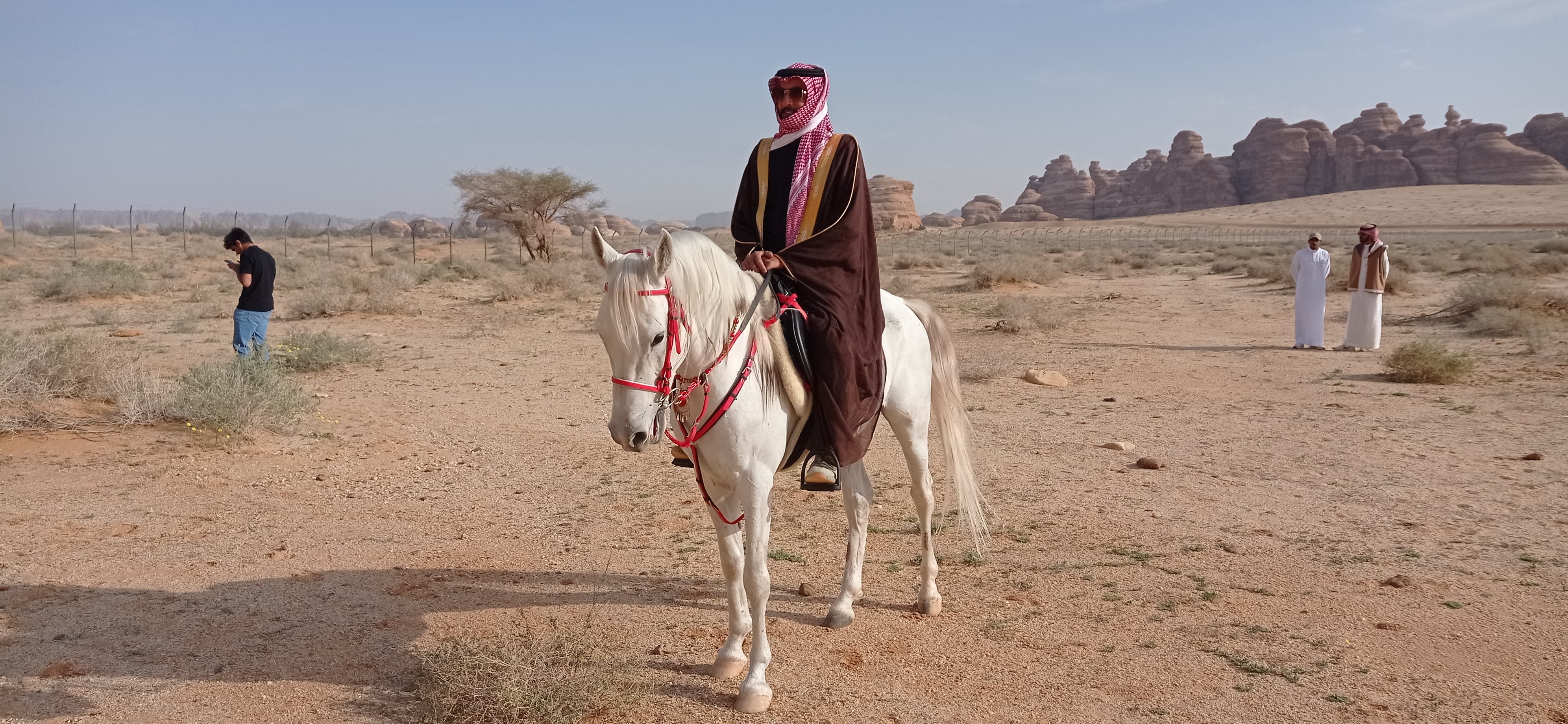 Sound Recordist: Capturing Galloping Arabian Horses in Challenging Environments